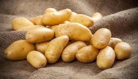 PATATES  KG