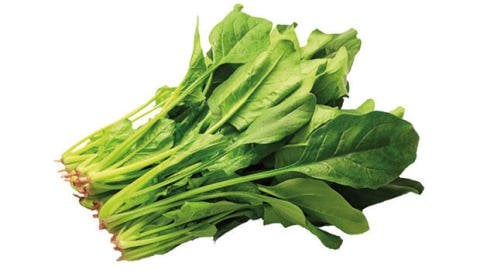 ISPANAK KG