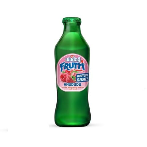 ULUDAĞ MADEN SUYU FRUTTİ AHUDUDU 200ML 1*24