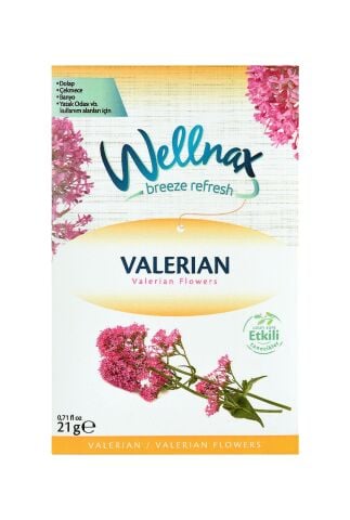 WELLNAX KOKU KESESİ VALERIAN 21G BLK-510 1*24