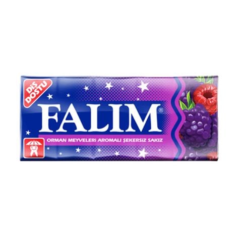 KENT SAKIZ FALIM 5Lİ ORMAN MEYVELERİ 1*20
