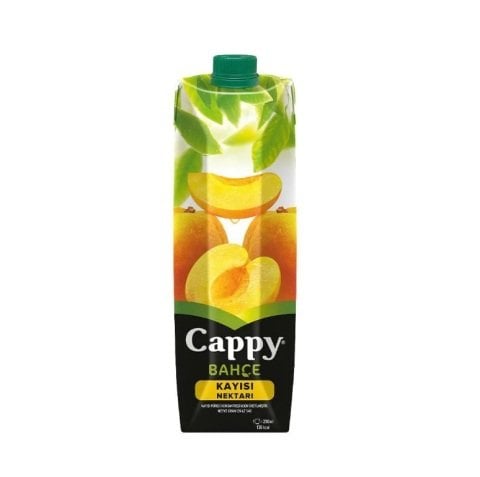 CAPPY 1L. KAYISI TETRA 1*12