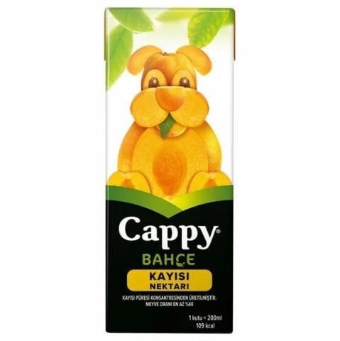 CAPPY 1/5 KAYISI 200ML 1*27