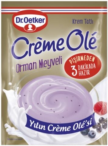 DR.OETKER.CREM OLE ORMAN MEYVELİ 89GR  1*12