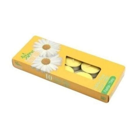 MUM BOZKURT TEALIGHT 10LU PAPATYA KOKULU