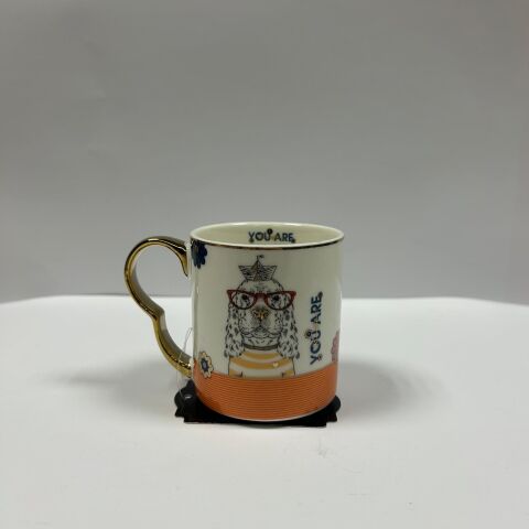 ZC.KUPA ACAR KAI-08163/36 MOMENT/MIRA 1*36