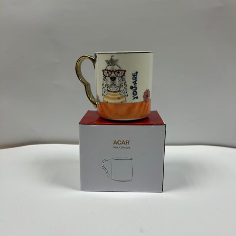 ZC.KUPA ACAR KAI-08163/36 MOMENT/MIRA 1*36