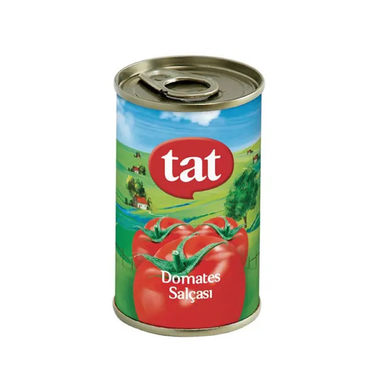 TAT SALÇA DOMATES 1/5 1*12