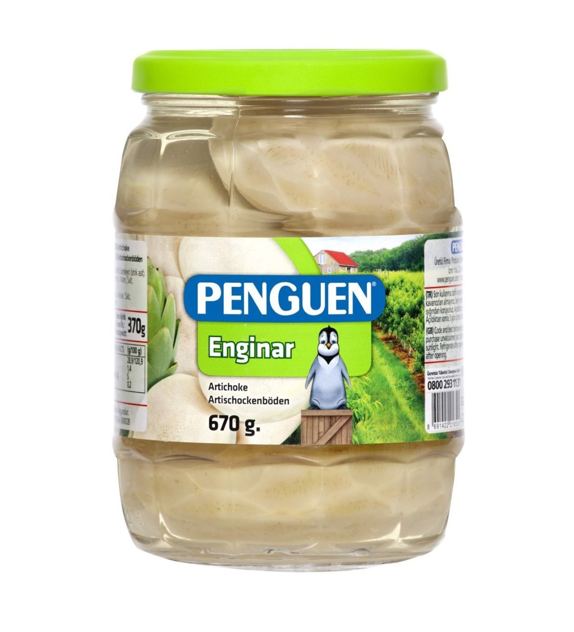 PENGUEN K.ENGİNAR 670G CAM 1*12