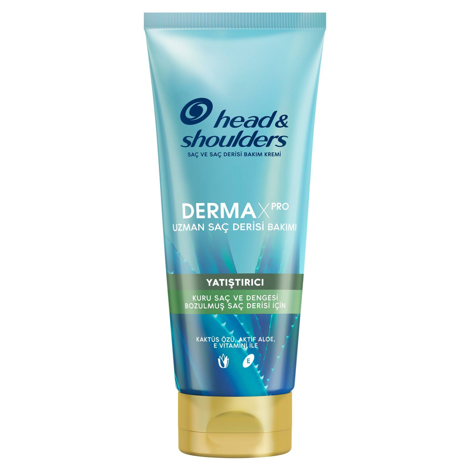 HEAD SAÇ KREMİ 220ML DERMAXPRO YATIŞTIRICI KAKTÜS ÖZÜ 1*6