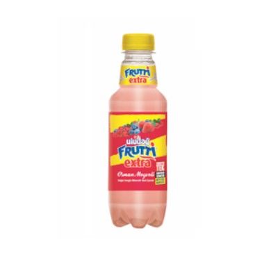 ULUDAĞ FRUTTİ 300ML ORMAN MEYVELİ EXTRA 1*12