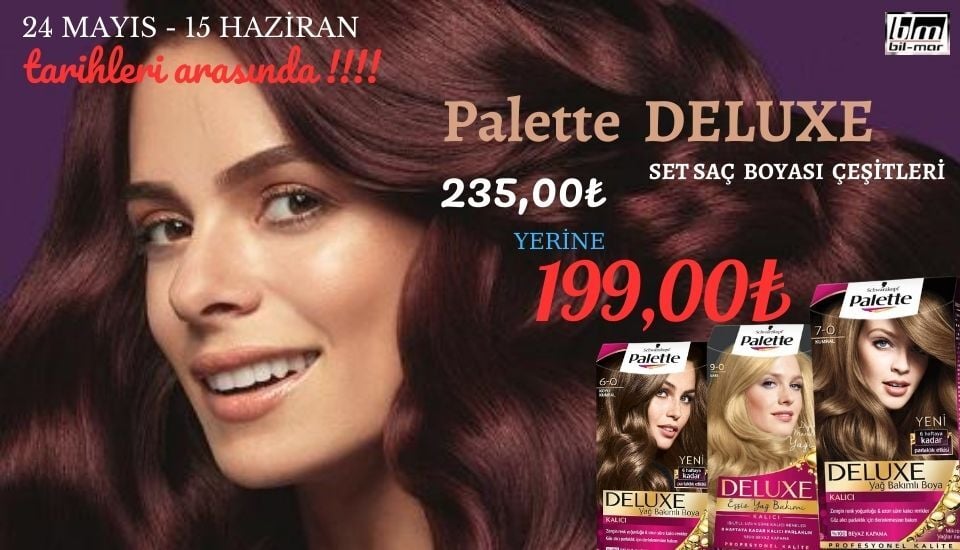 PALETTE SAÇ BOYASI 